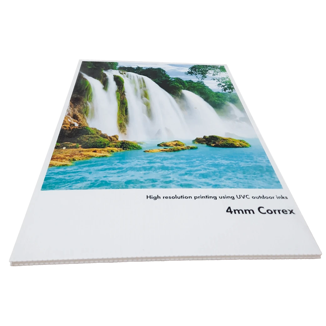 Rigid display boards (1)